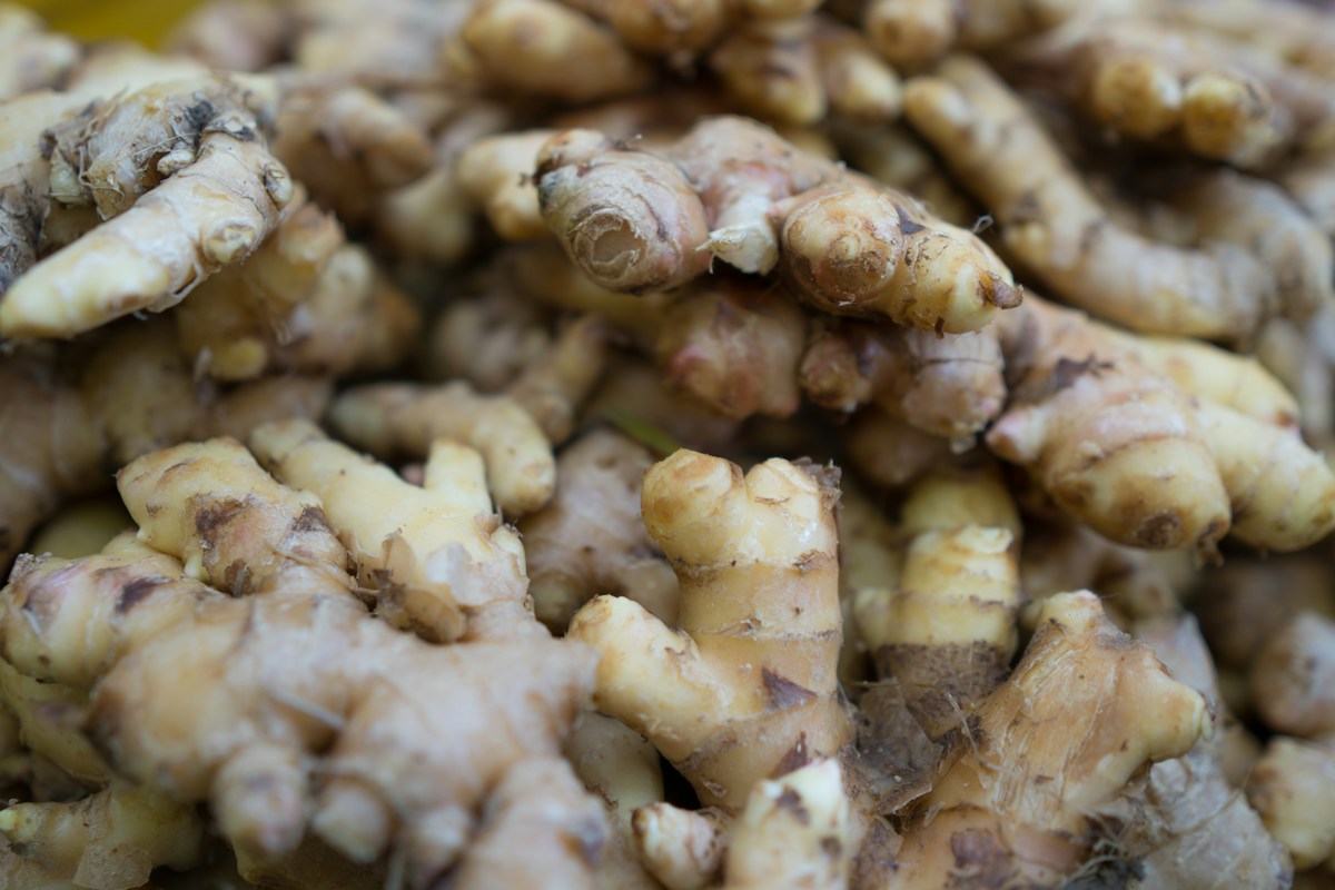 Fresh ginger roots, an ingredient listed on the supplied Clear Lungs label